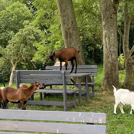 Mit Kamin Und Traumhafter Dachterrasse Mit Weitblick In Lejlighed *